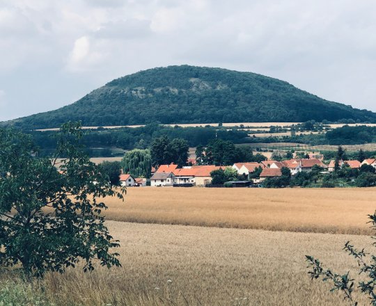 Říp asi 5 km